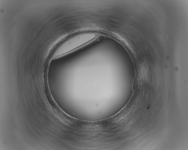 X0000078020535200610271015
