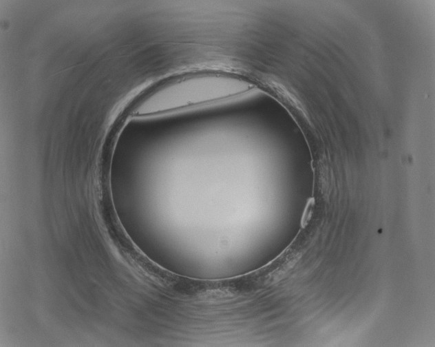 X0000078020536200610271015