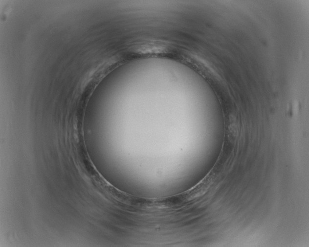 X0000078020547200610271015