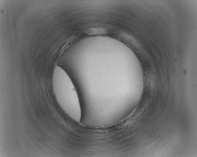 X0000078020549200610271015