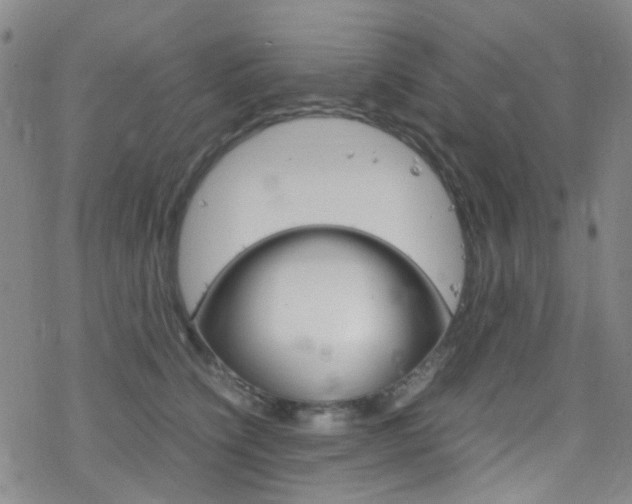 X0000078020564200610271016