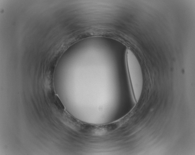 X0000078020604200610271015
