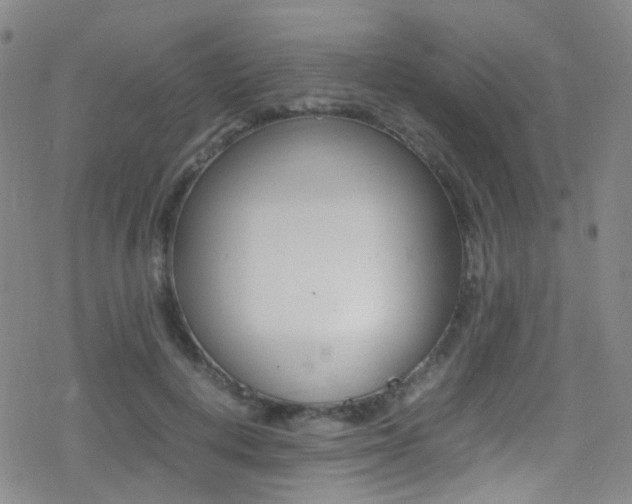 X0000078020648200610271014