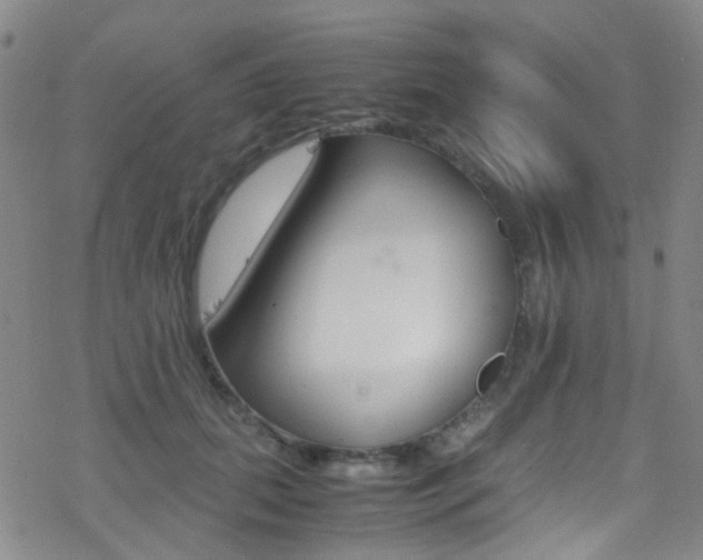 X0000078020655200610271014