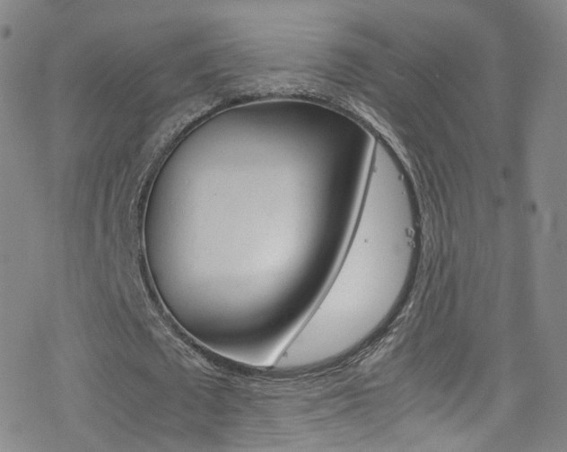 X0000078020673200610271013