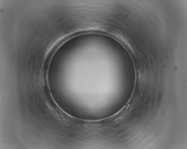 X0000078020676200610271013