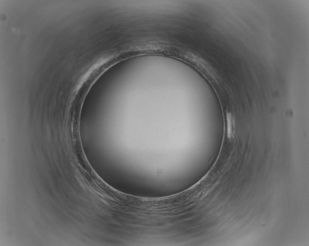 X0000078020723200610271012