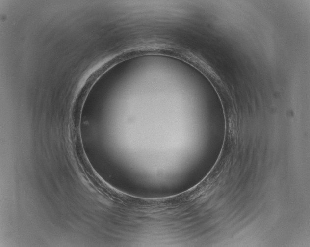 X0000078020724200610271012
