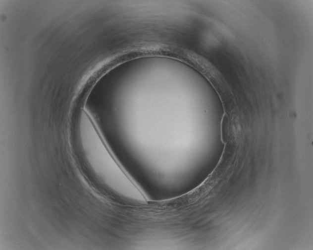 X0000078020728200610271012