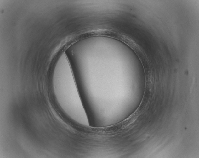 X0000078020734200610271012