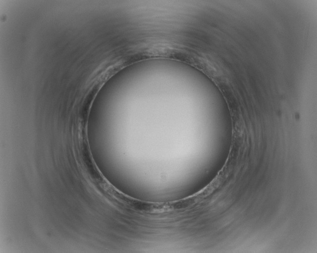 X0000078020744200610271012
