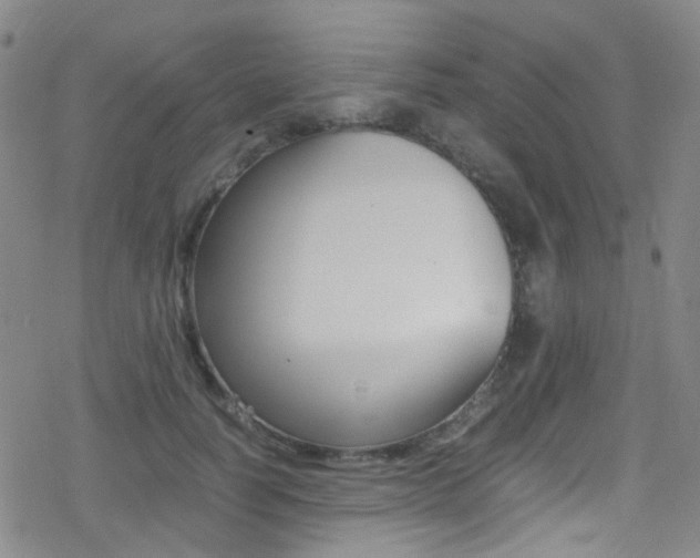 X0000078020746200610271012