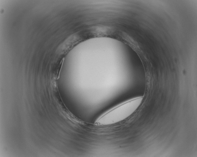 X0000078020766200610271013