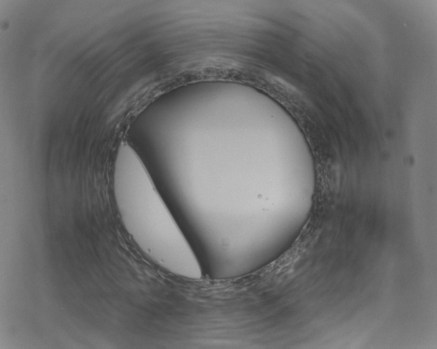 X0000078020774200610271012