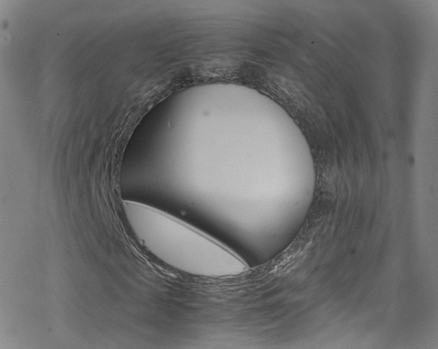 X0000078020817200610271010