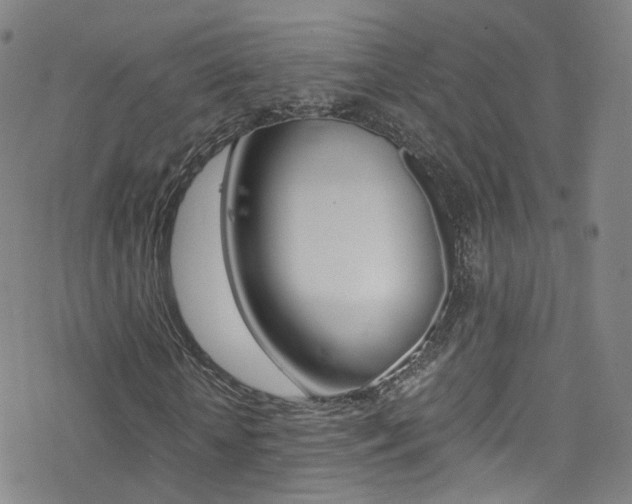 X0000078020818200610271010
