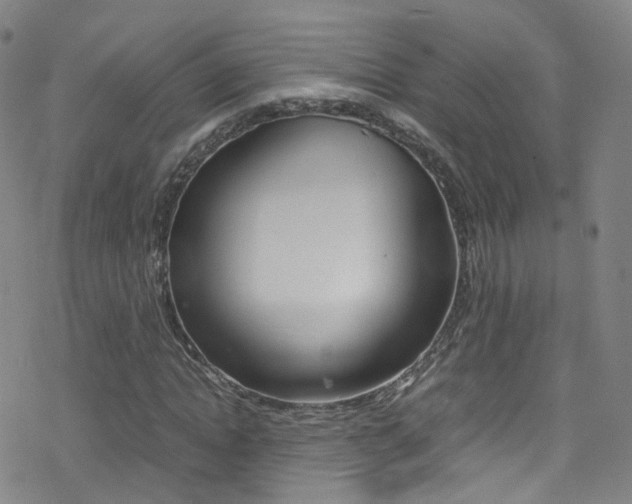 X0000078020822200610271010