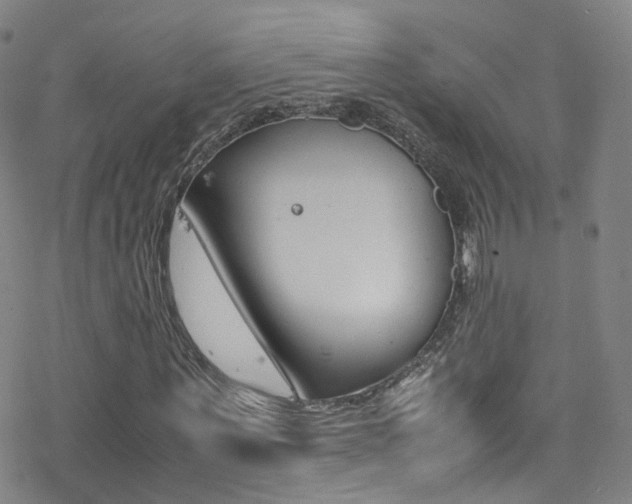 X0000078020867200610271010