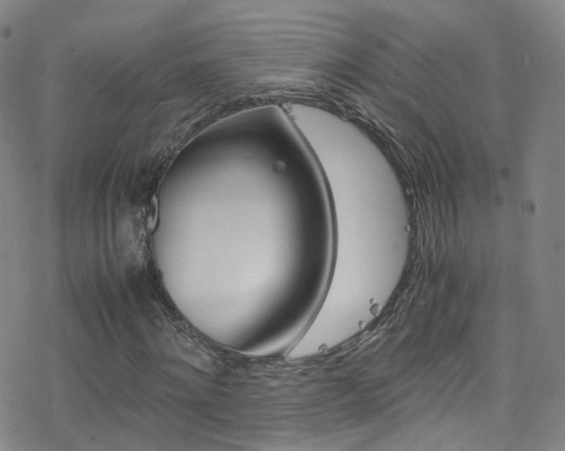 X0000078020868200610271010