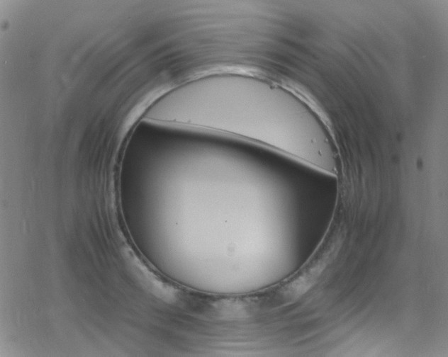 X0000078020898200610271010