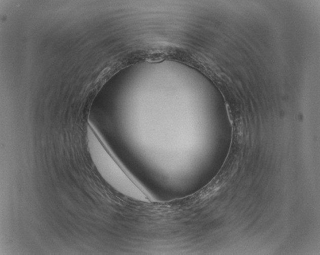 X0000078020916200610271009