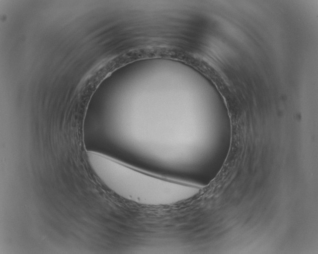 X0000078020919200610271009