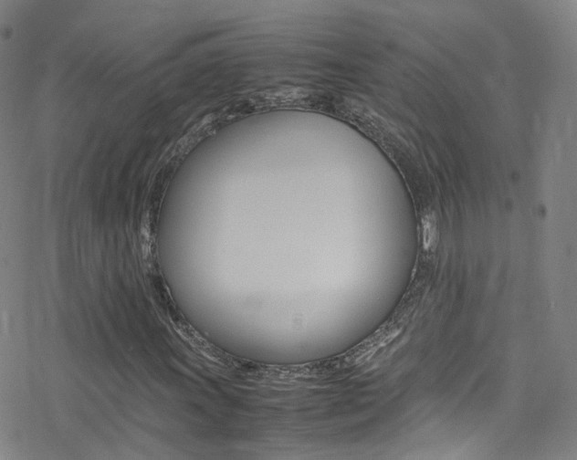 X0000078021011200610271007