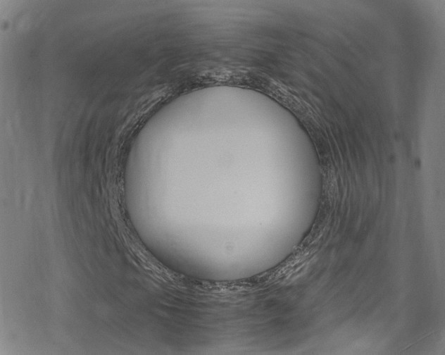X0000078021105200610271006