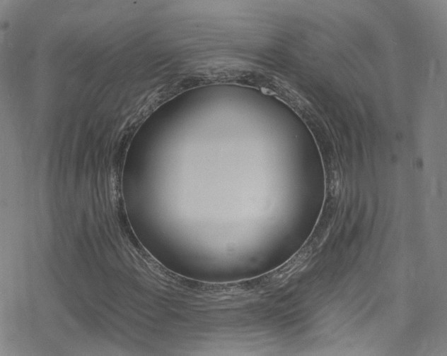 X0000078021108200610271006
