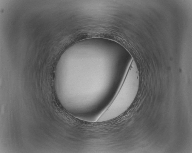 X0000078021153200610271006