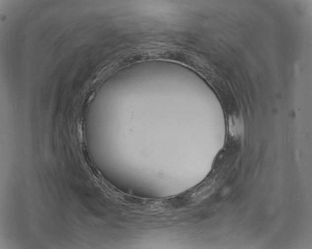 X0000078021155200610271006