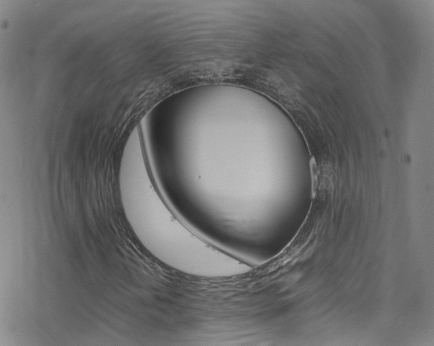 X0000078021202200610271004