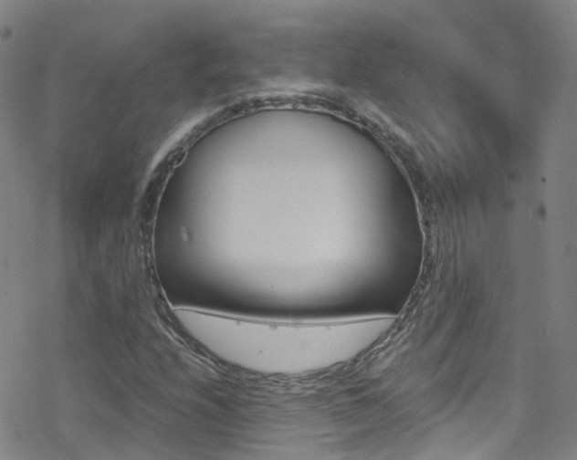 X0000078021208200610271004