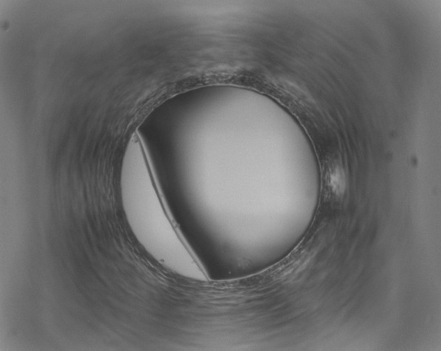 X0000078021252200610271004