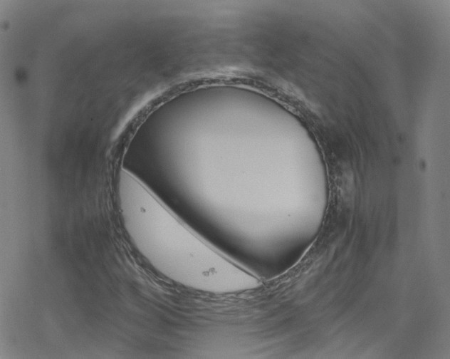 X0000078021256200610271004