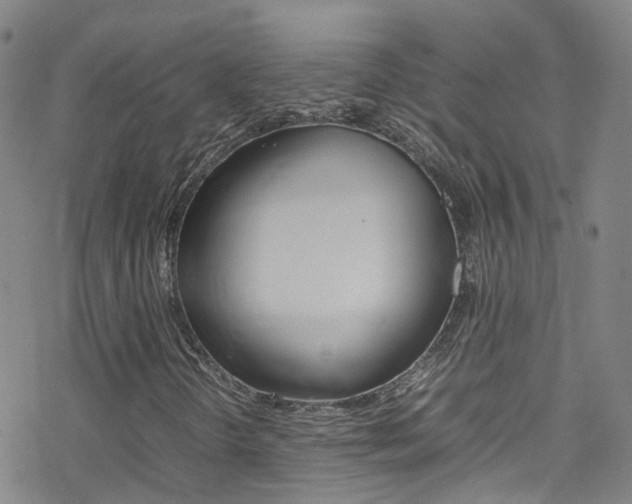 X0000078021298200610271002