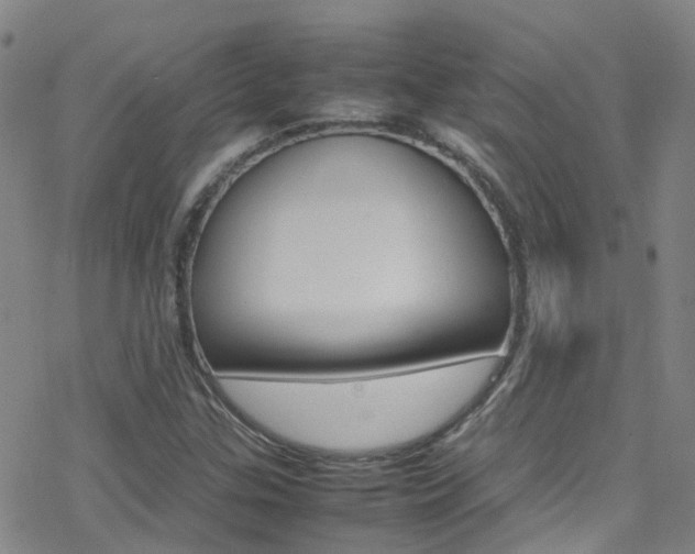 X0000078021307200610271003