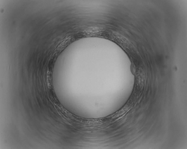 X0000078021346200610271002