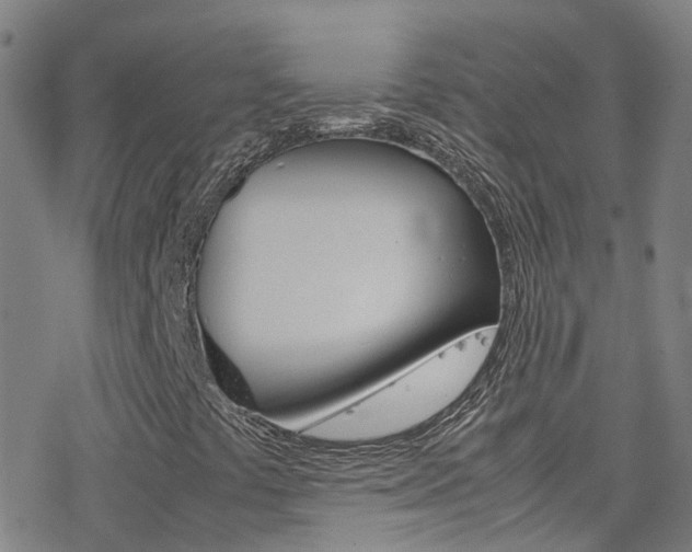 X0000078021441200610271001