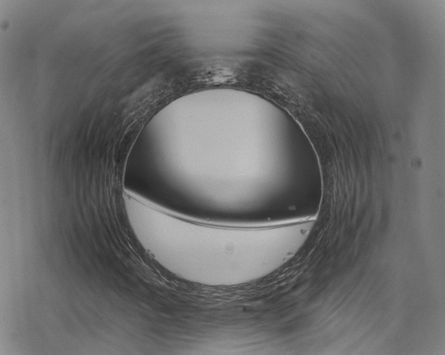 X0000078021442200610271001