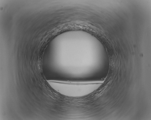 X0000078021490200610270959