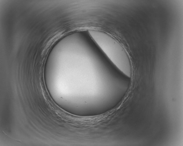 X0000078020001200610271246