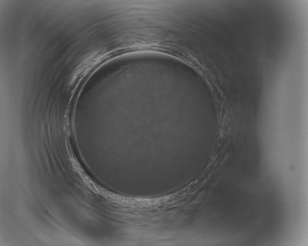 X0000078020002200610271246