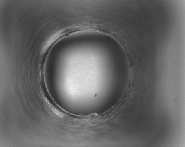 X0000078020005200610271246