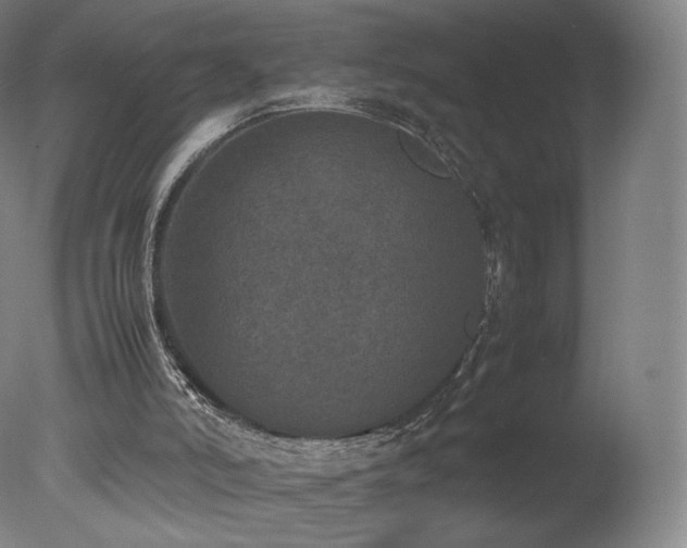 X0000078020006200610271246