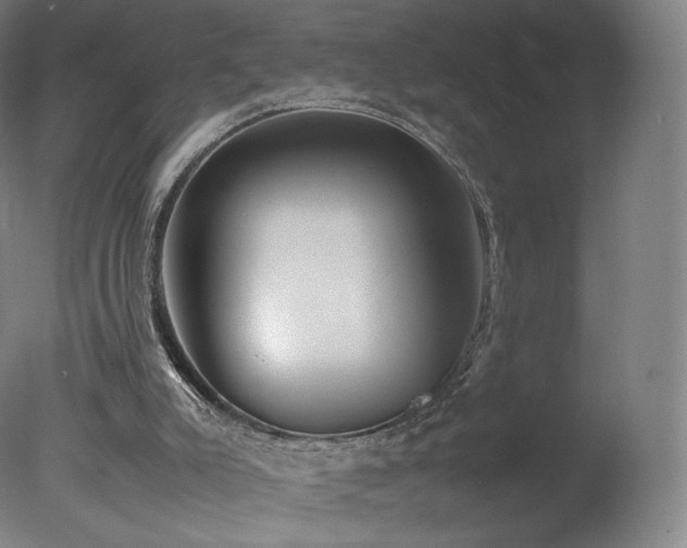 X0000078020007200610271246