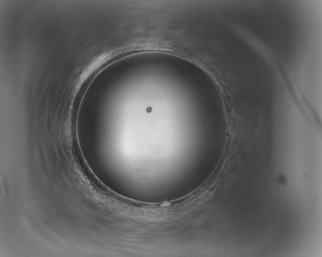 X0000078020008200610271246