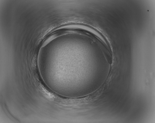 X0000078020009200610271246