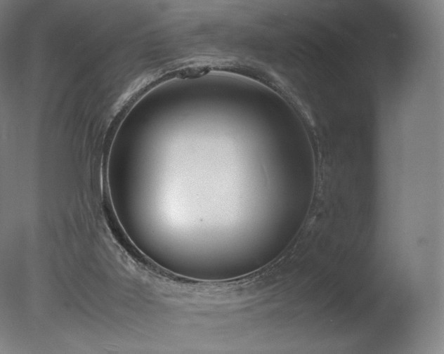 X0000078020011200610271246