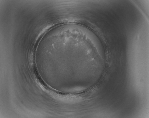 X0000078020012200610271246